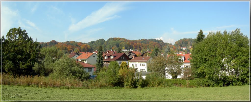 Germany,Bayerischer Wald,Landkreis Deggendorf by nagorjan