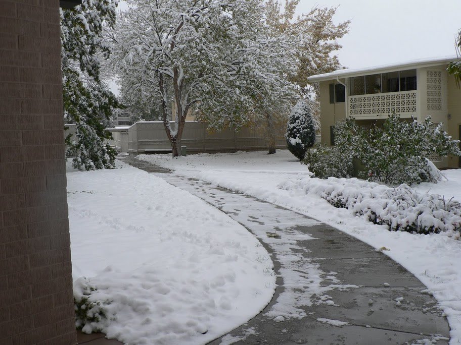 Snow in Denver by muralihn