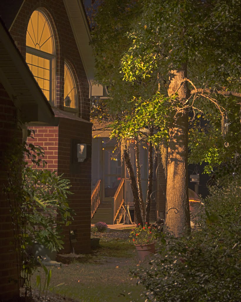 Backyard night shot by Mark Cowell