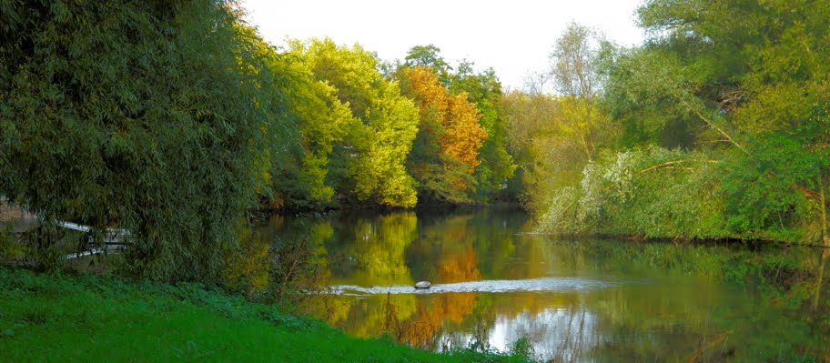 Jena; 'paradiesische' Saale im Herbst (TR) by Thomas Rommel