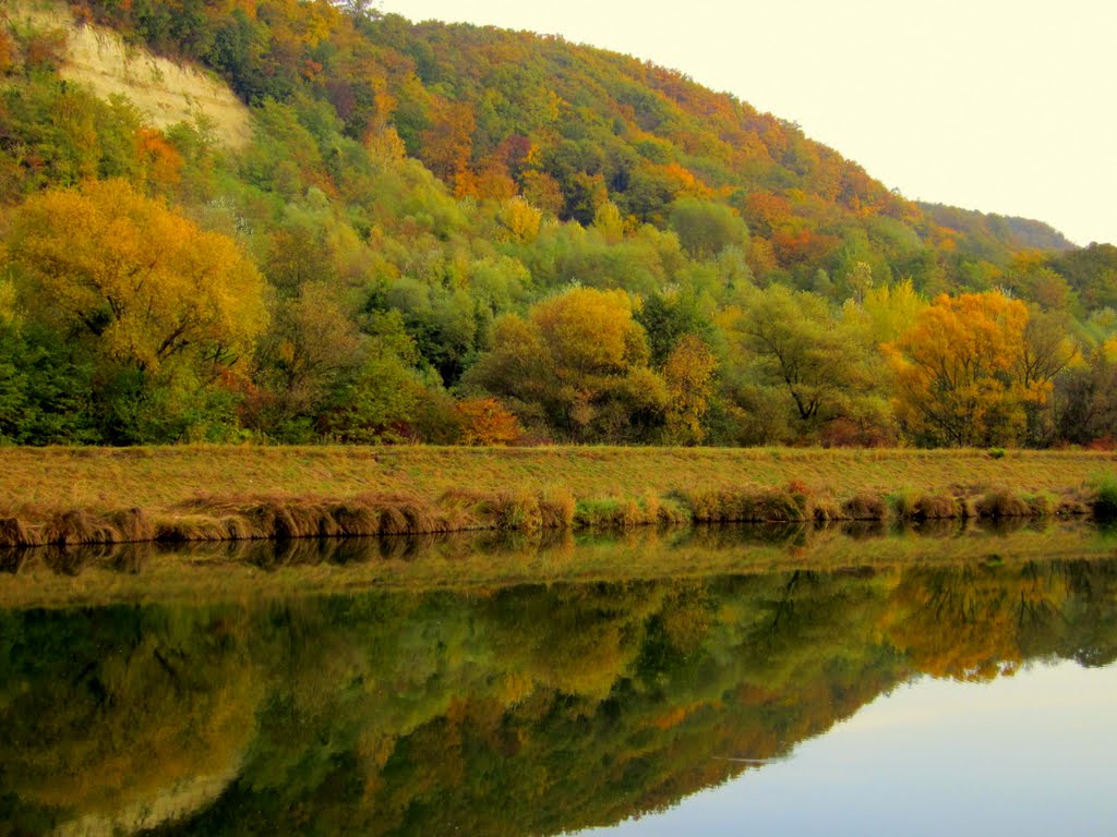 Jesenný les / Autumn forest / by Majka44