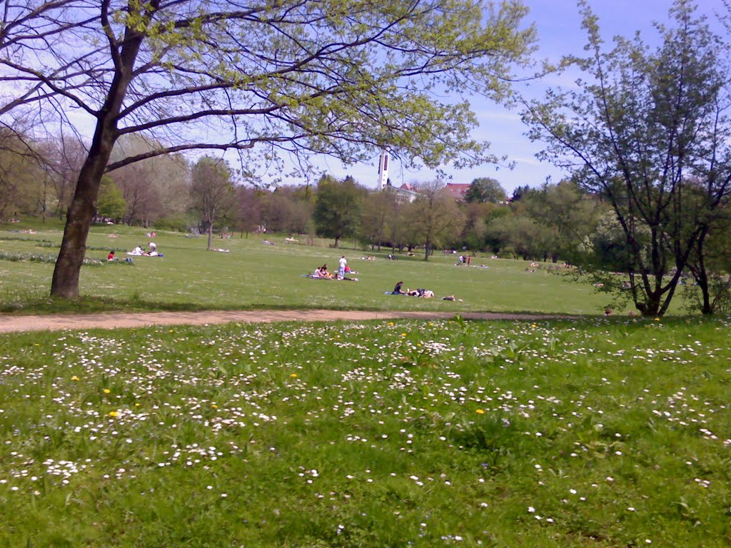 Picnic area. Amorbach/Neckarsulm/Heilbronn/Stutgart/GERMANY by ersansimsek