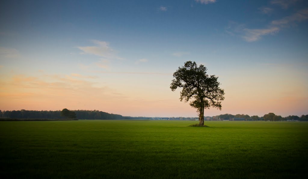 Alone by Orkun Mungan