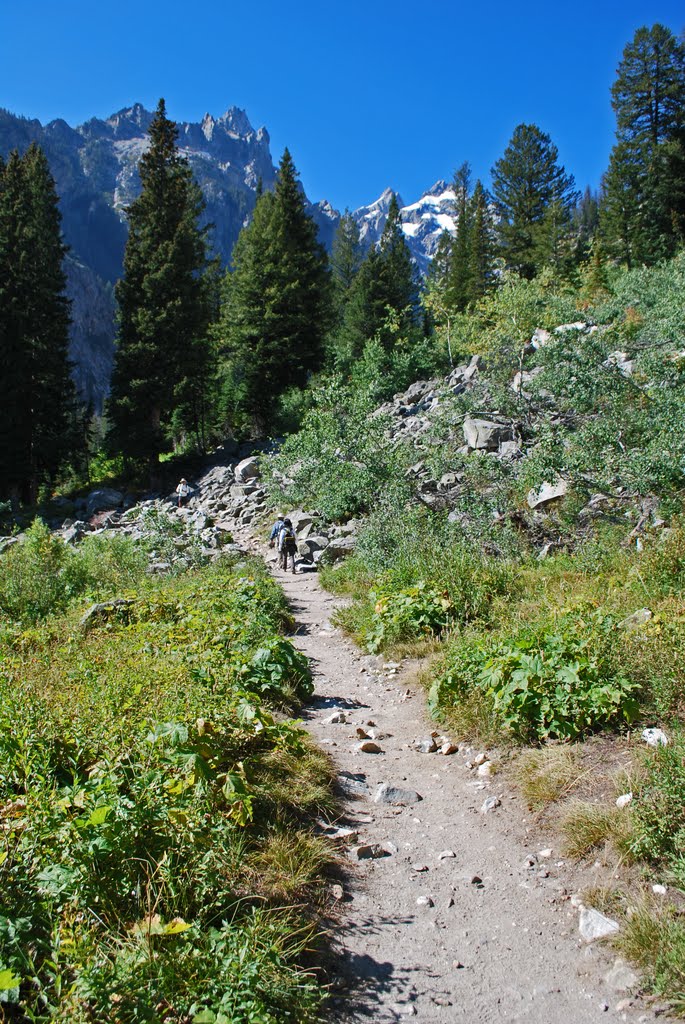 Cascade Canyon Trail, Grand Teton NP, WY by bobbudi