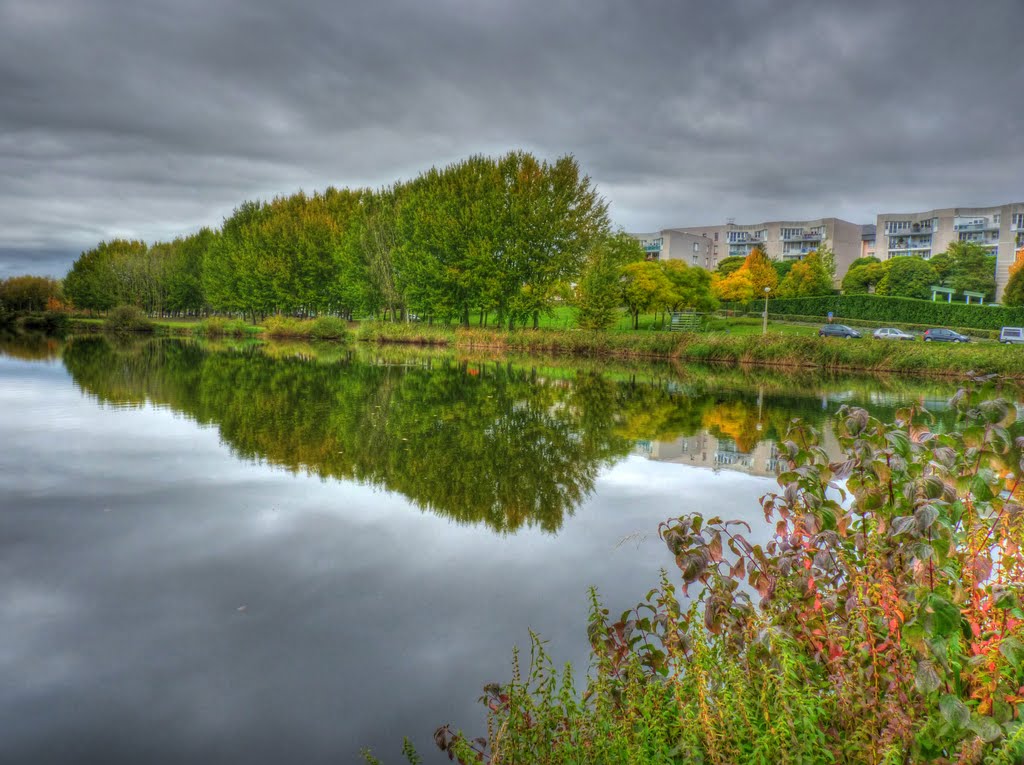 Reflets sur l'étang de Maubuée by Romain.D.C