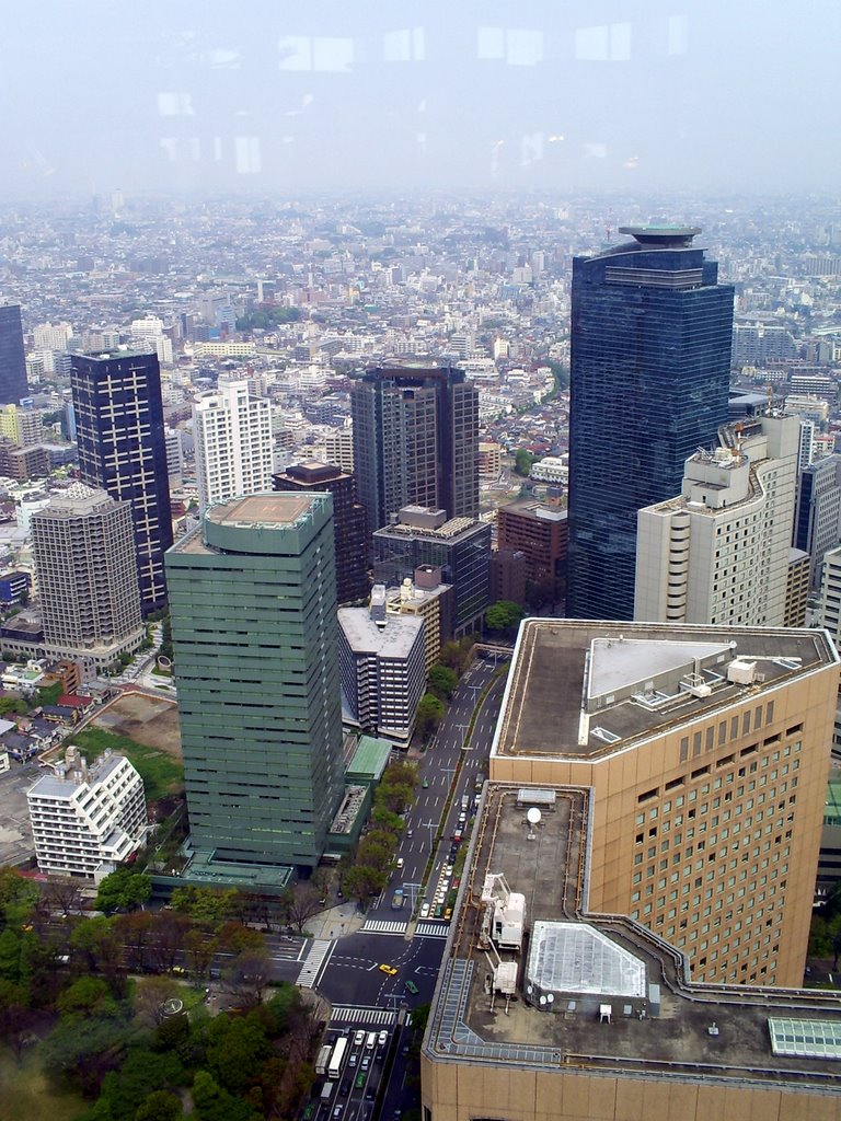 Shinjuku - view from TMG by pzglicz