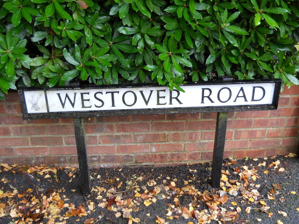 The Westover Road Sign by Robert'sGoogleEarthPictures