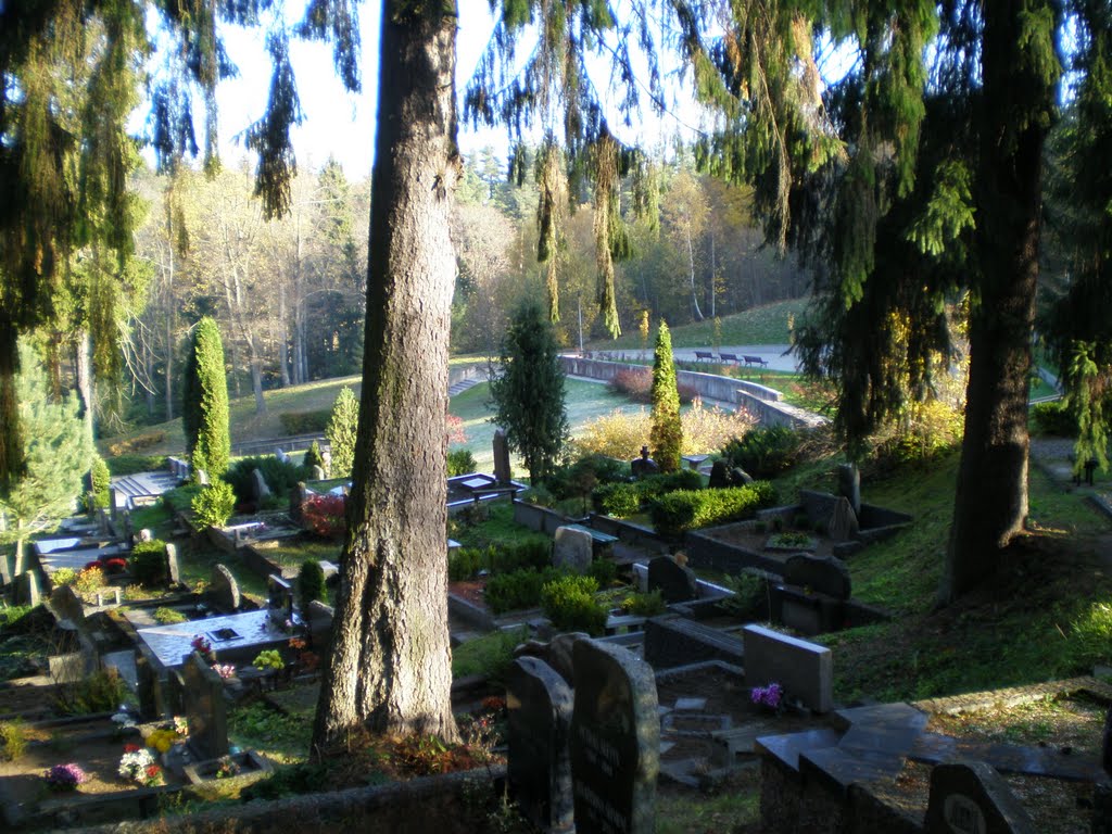 Antakalnio kapinėse - Antakalnis cemetery by Gintarele