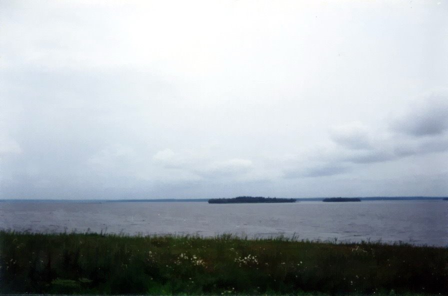 О.Шлино с Новгородского берега(lake Shlino, Novgorod region, Russia) by Anatoliy Gerasimov