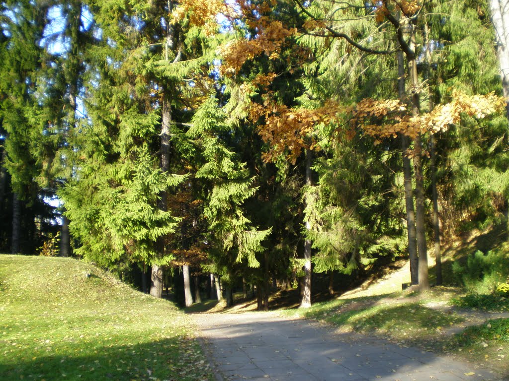 Antakalnio kapinėse - Antakalnis cemetery by Gintarele