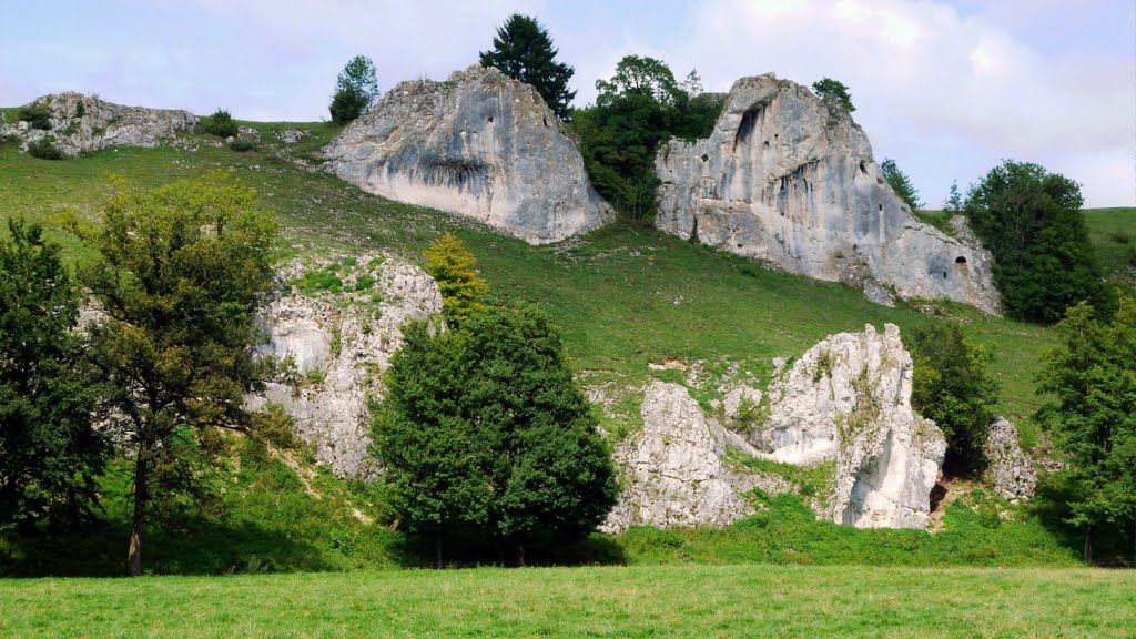 EselsburgerTal Felsen T2011-07-31_1P_023 © http://www.fahidi.eu by Béla Fahidi