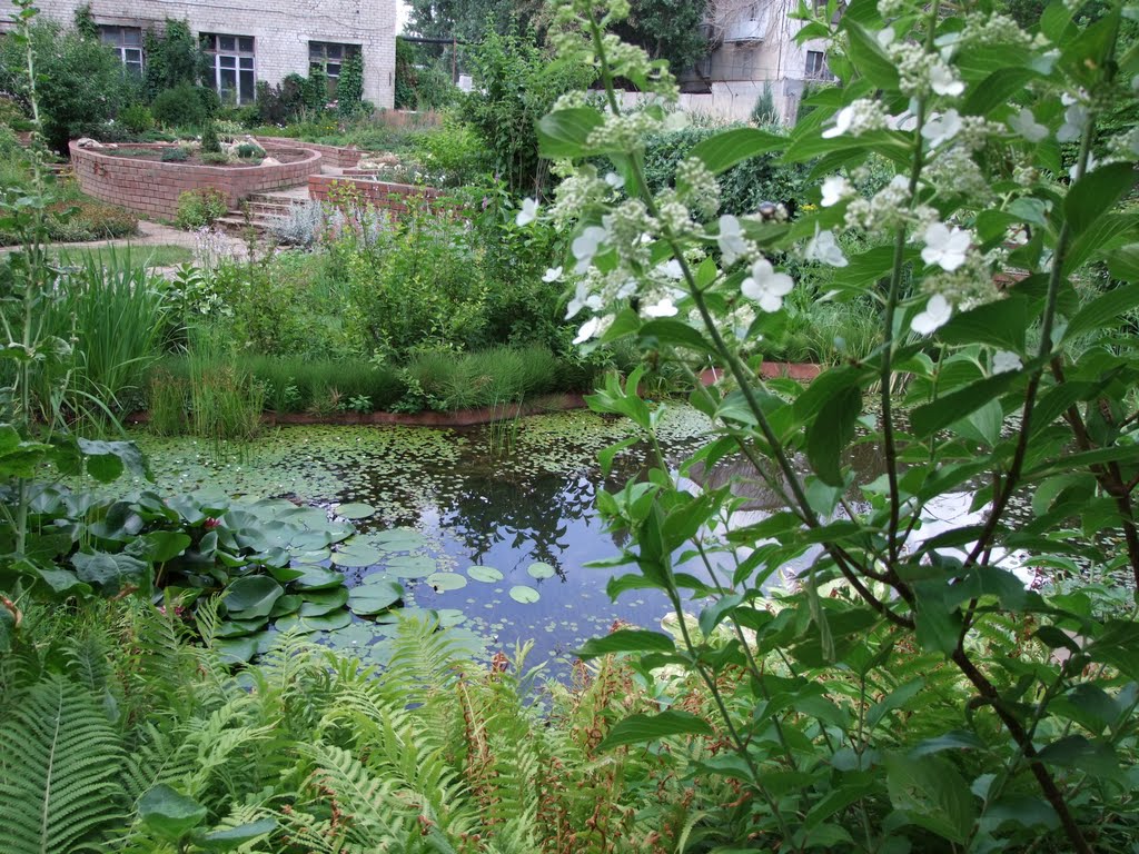 Russia.Volgograd.Botanic Garden Pedagogical University. by Viktor Zhorin