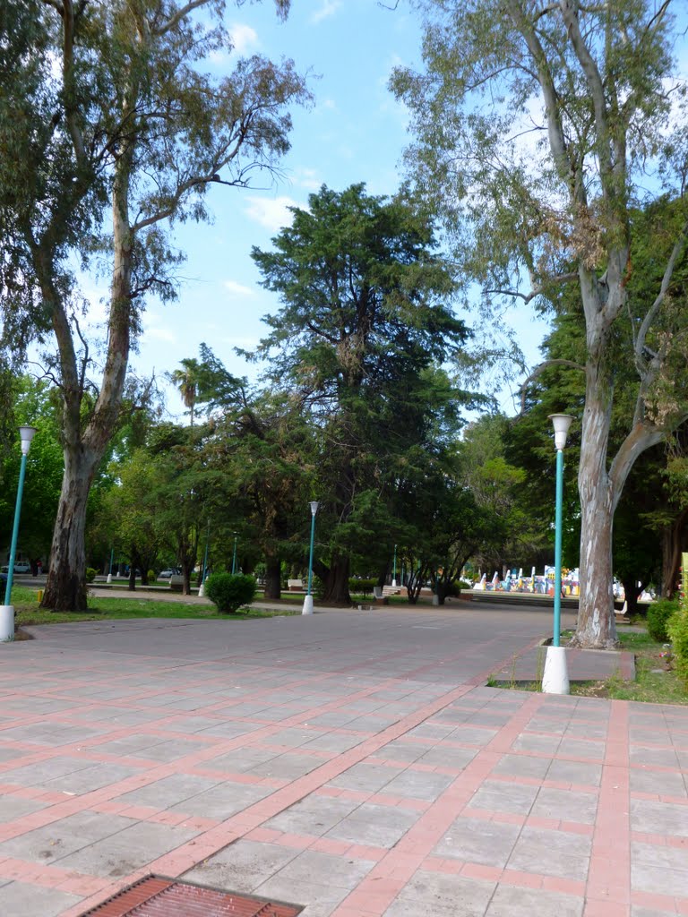 Pinos de plaza 9 de Julio by Juan Carlos Barros