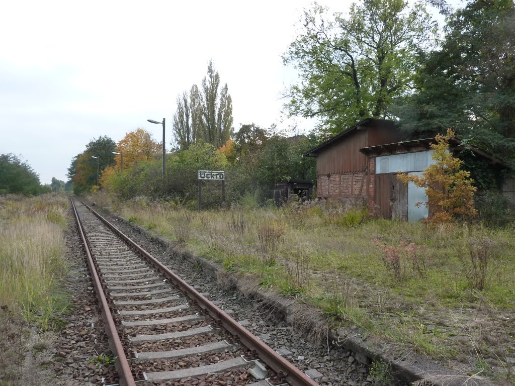 Bahnhof Uckro Süd by peter86