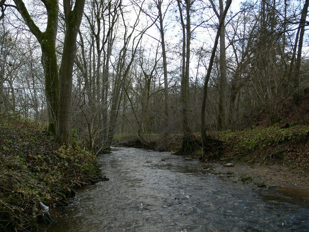 Ostfildern, Germany by bikejoe