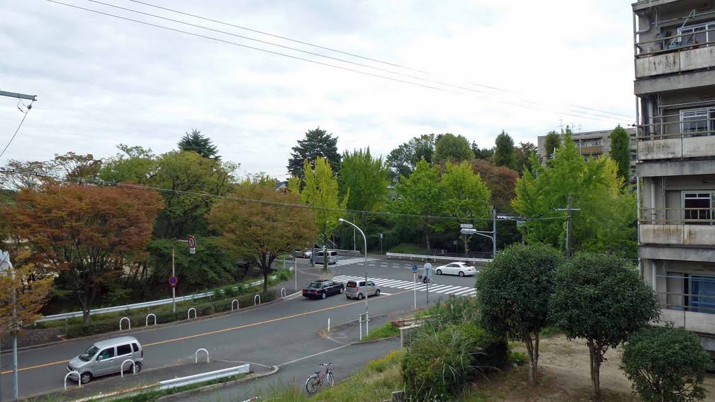 2011.10 「高野台中学校」交差点 Three-forked road by H.Katayama