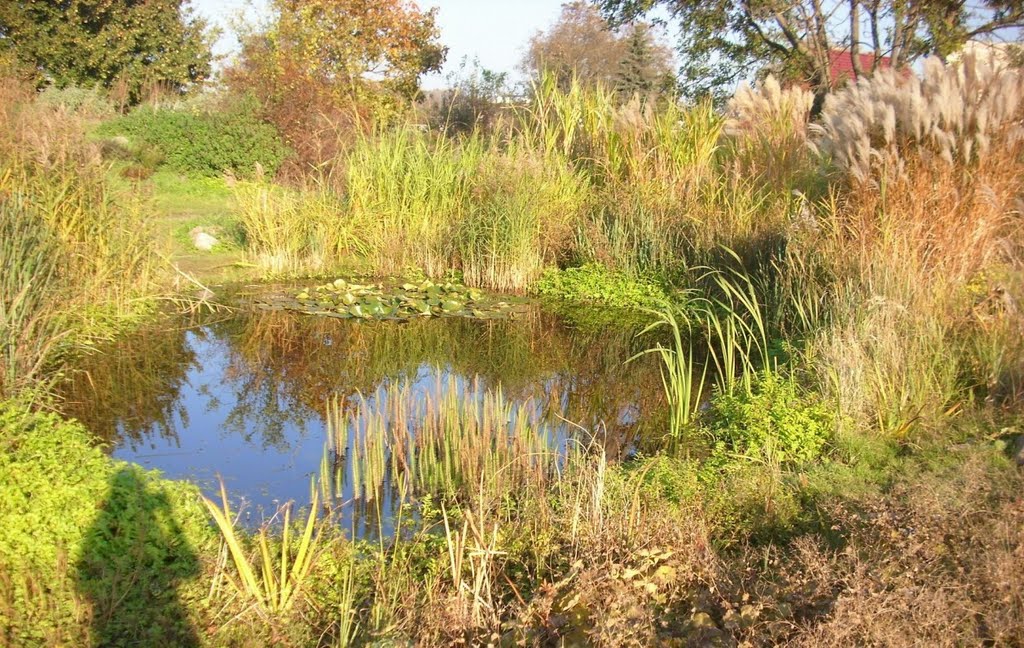 Der schöne Teich im Pfarrgarten by Klaus Brink