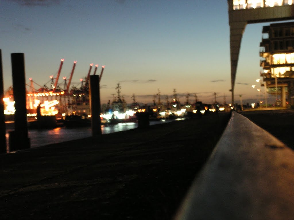 Hamburg docks in the night by Daniel Mayer