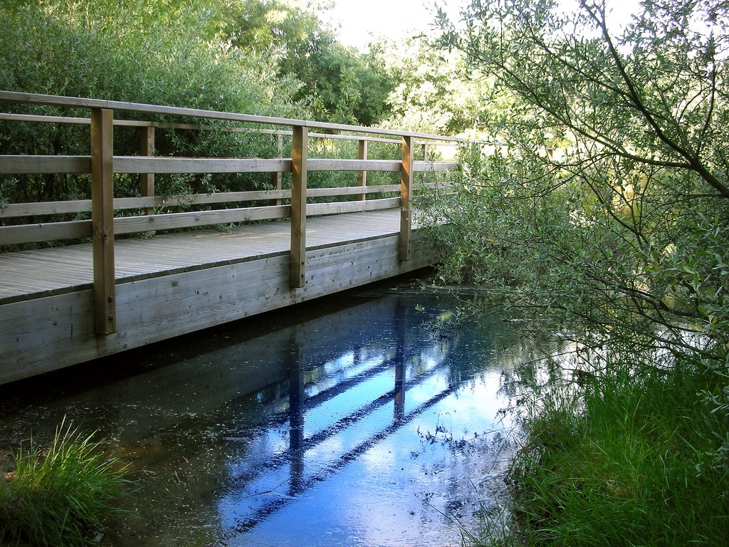 Puente en el Embalse de Navacerrada by K6.34