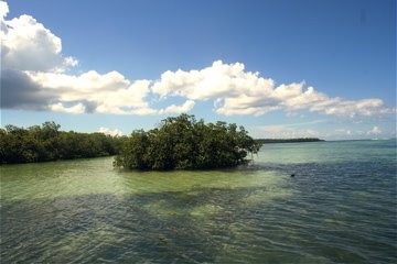 Unnamed Road, Dominicus 23000, Dominican Republic by natush