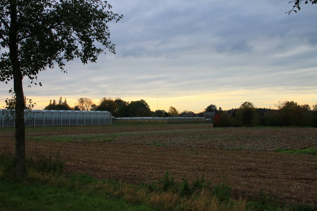 Uitzicht Hummerenweg by S.J.C. Gijsbers