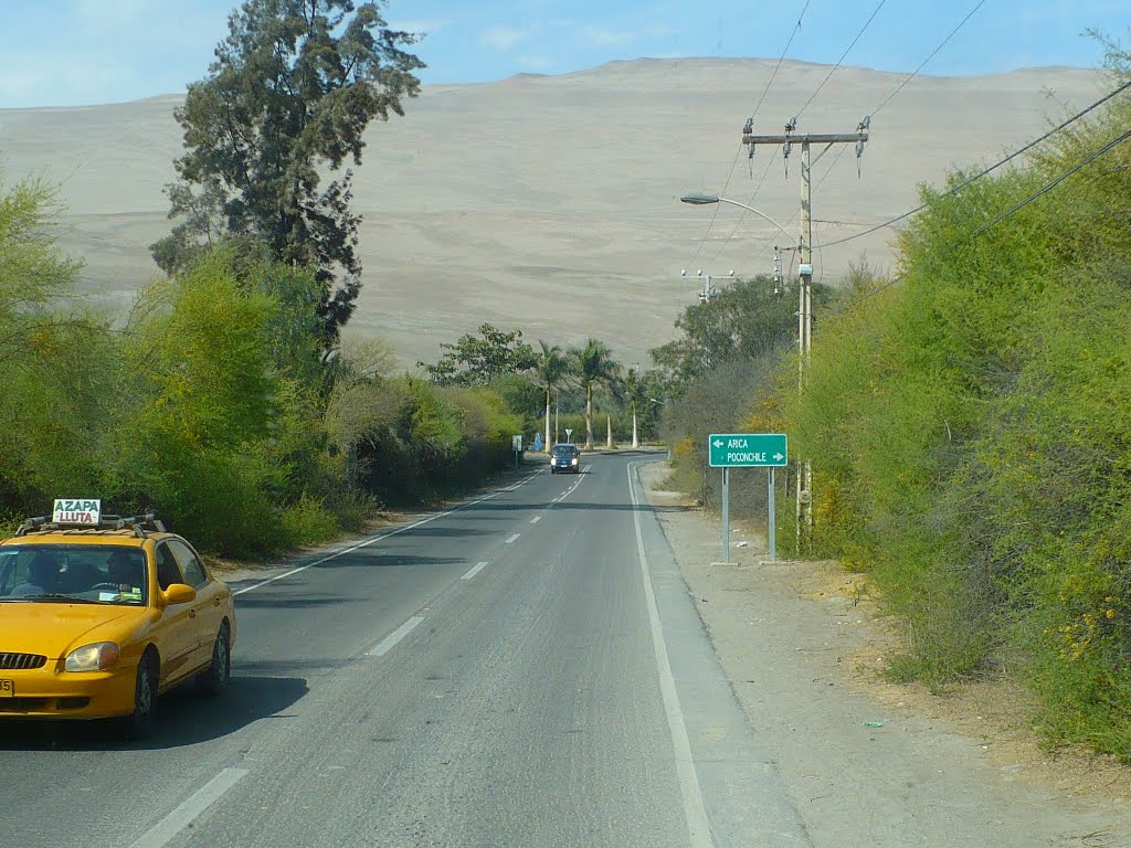 Valle de Azapa by Challenger Australis