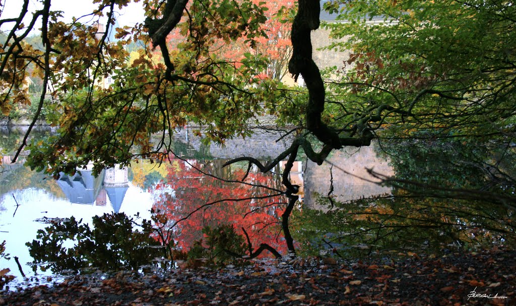 Miroir d'automne... by BORDEAU Alain.(NO VIEWS!)