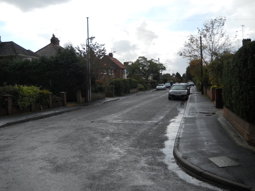 Fugelmere Road, Fleet by Robert'sGoogleEarthPictures