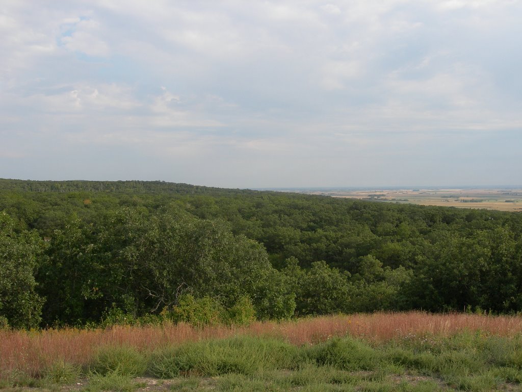 Mystical Horizons-View towards Bottineau, ND by cgmueller