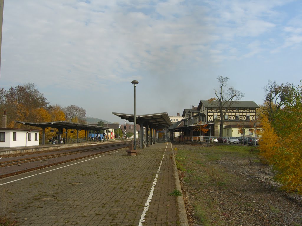 Rückbau auf Deutschen Gleisenanlagen, fast schon Gewohnheit by Schmalspur Sa.