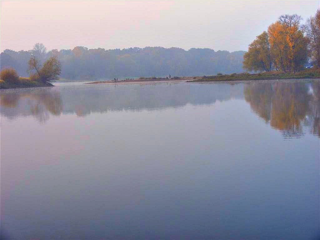 Widok odnogi Odry.View branch of the Oder by Andrzej Brudziński...