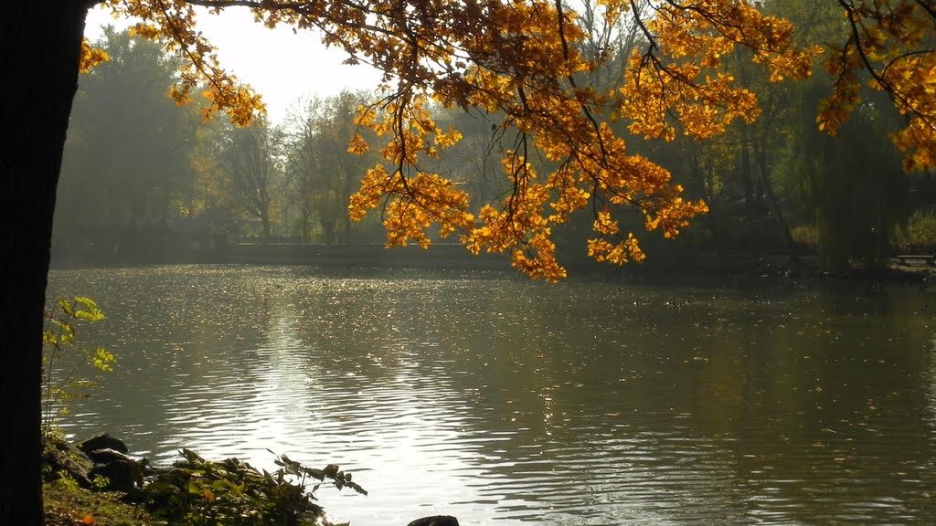 Herbstfärbung am Bayreuther Röhrensee by Holger2401De