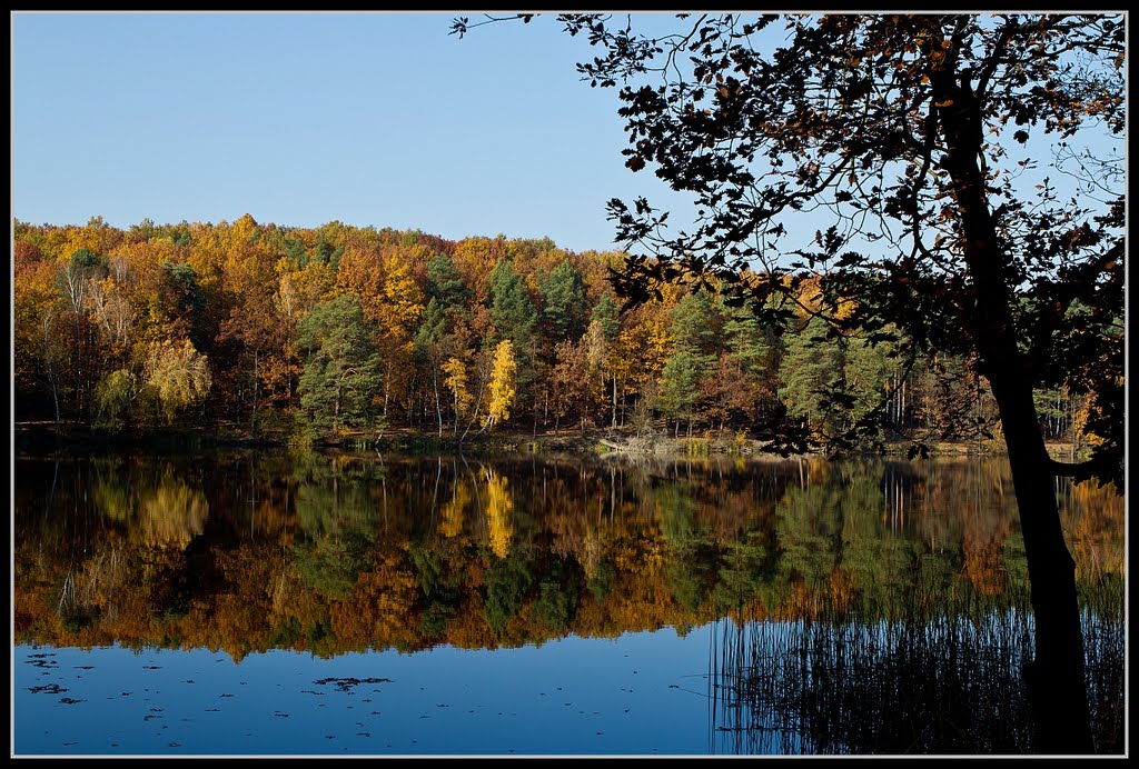 Fall in Germany by StefanRohlaender