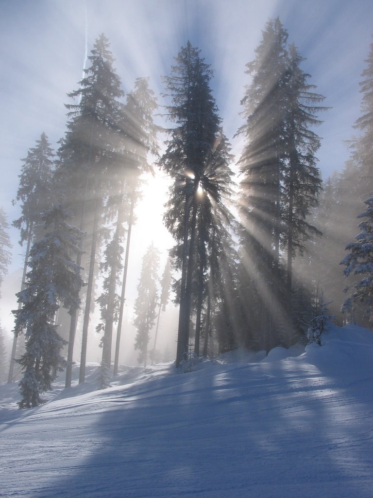 Zonlicht op de skipiste bij scheffau by lidy.jaap