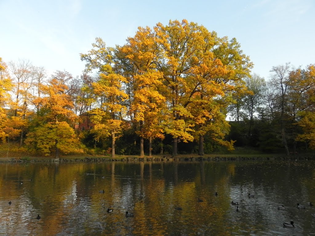 Herbstfärbung am Bayreuther Röhrensee by Holger2401De