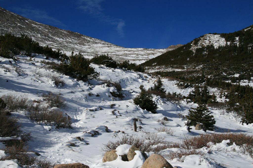 Granite Pass from the Tundra Zone transition by Richard Ryer