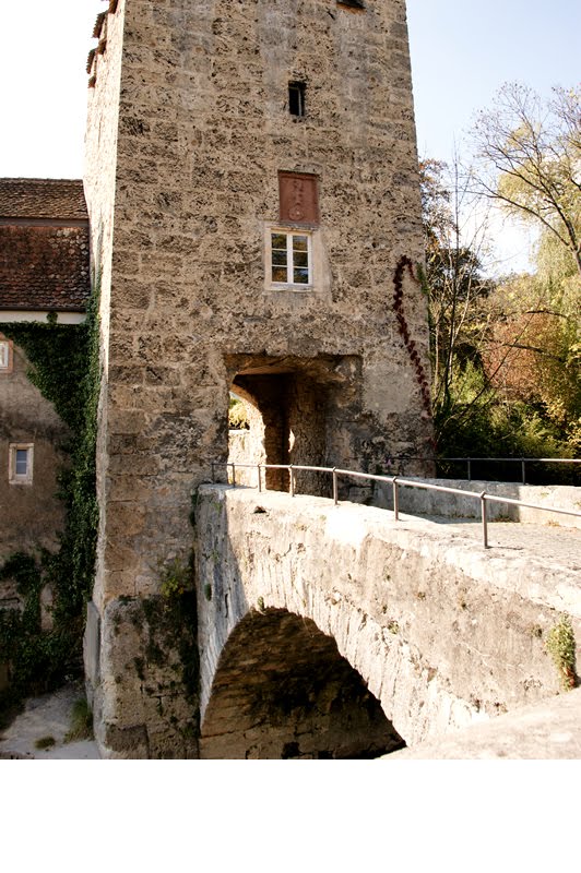 Schloss Zwingen mit Kapelle, Holzbrücke und Kernburg by Golinski Janusch