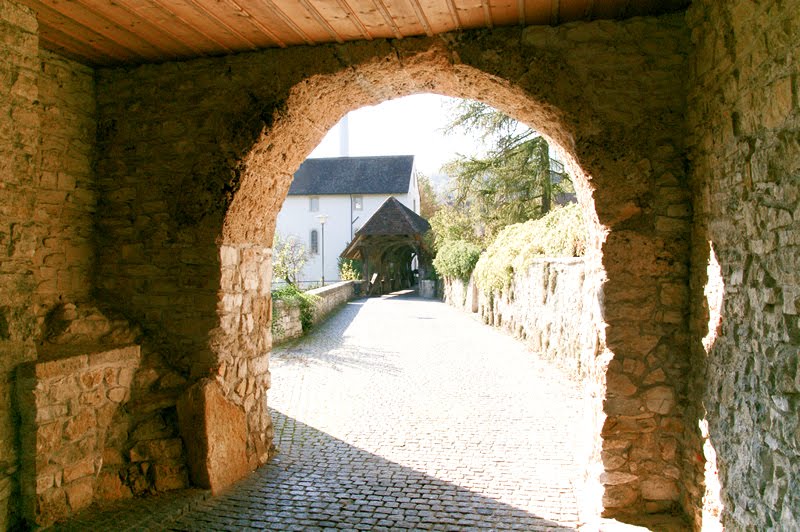 Schloss Zwingen mit Kapelle, Holzbrücke und Kernburg by Golinski Janusch