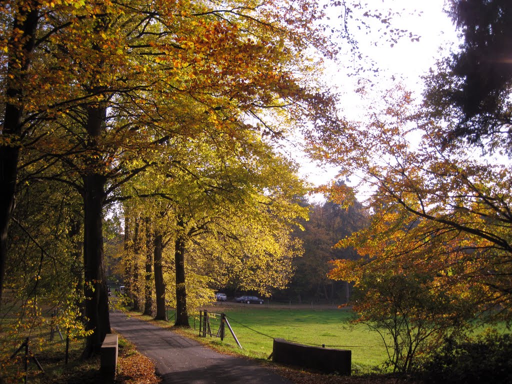 Visbeck im Münsterland - jb by ruhrciti