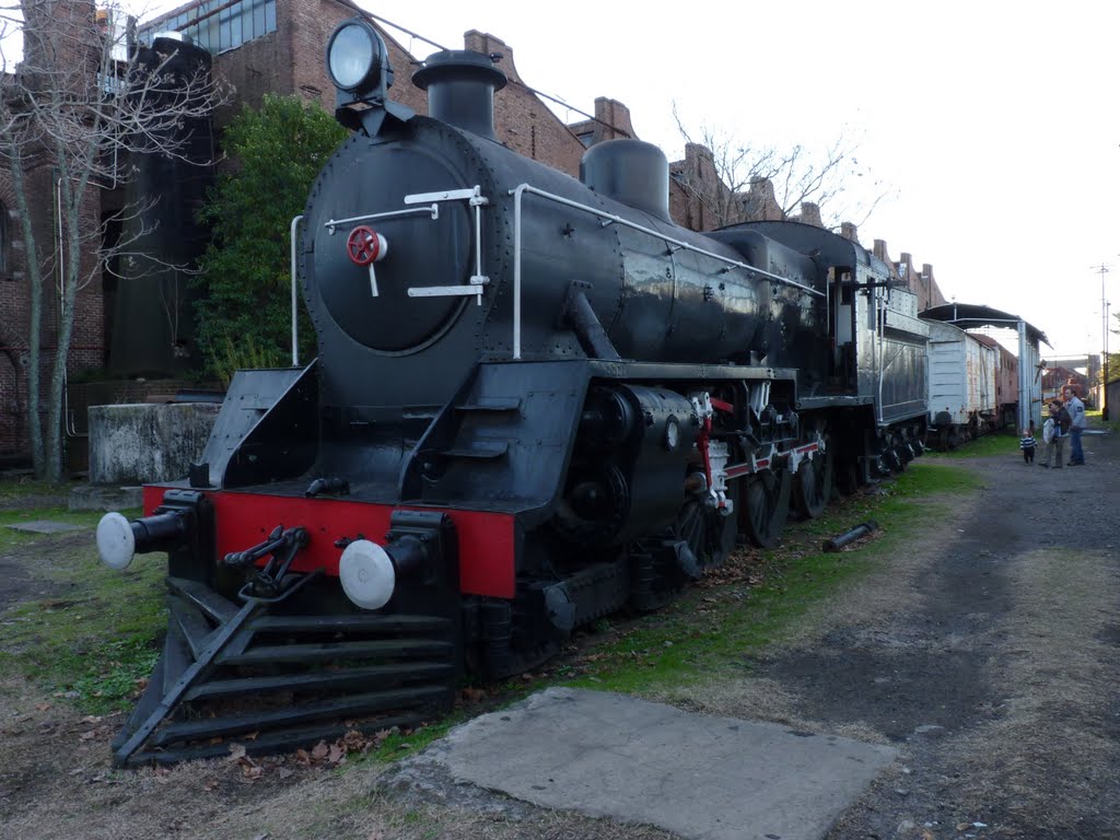 LOCOMOTORA (By RV) by rob_fotos