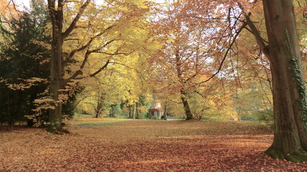 Schillerwiesen, Göttingen, Lower Saxony, Germany by photon master