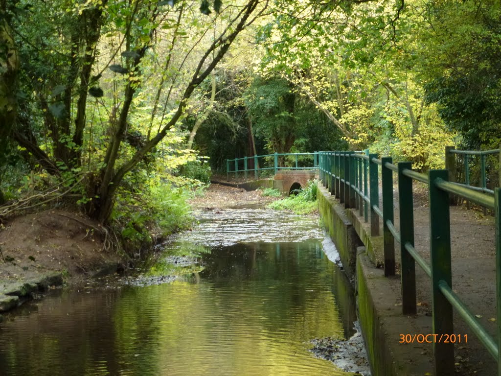 Canley Ford by proshooter