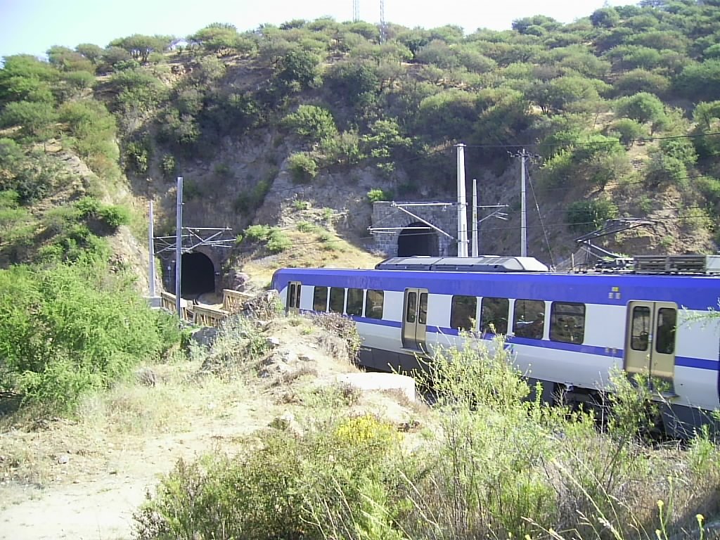 Tren saliendo de uno de los túneles del Marga Marga by Gerald Foxon