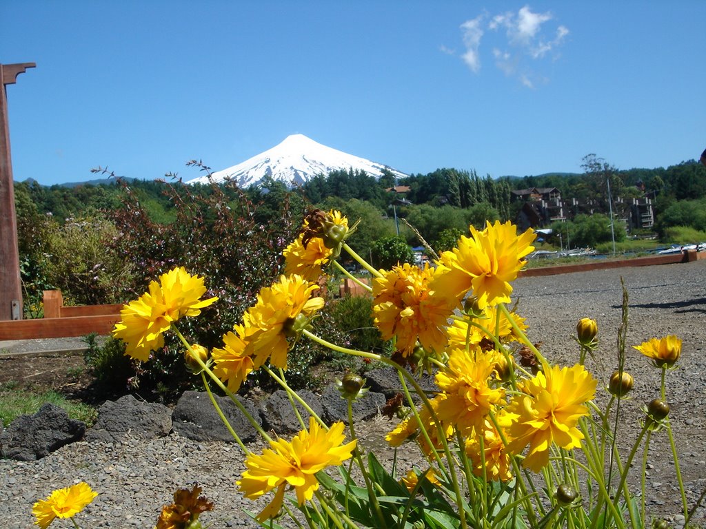 Chile - Pucon - Vulcao Villarrica by Ednei A. Rodrigues