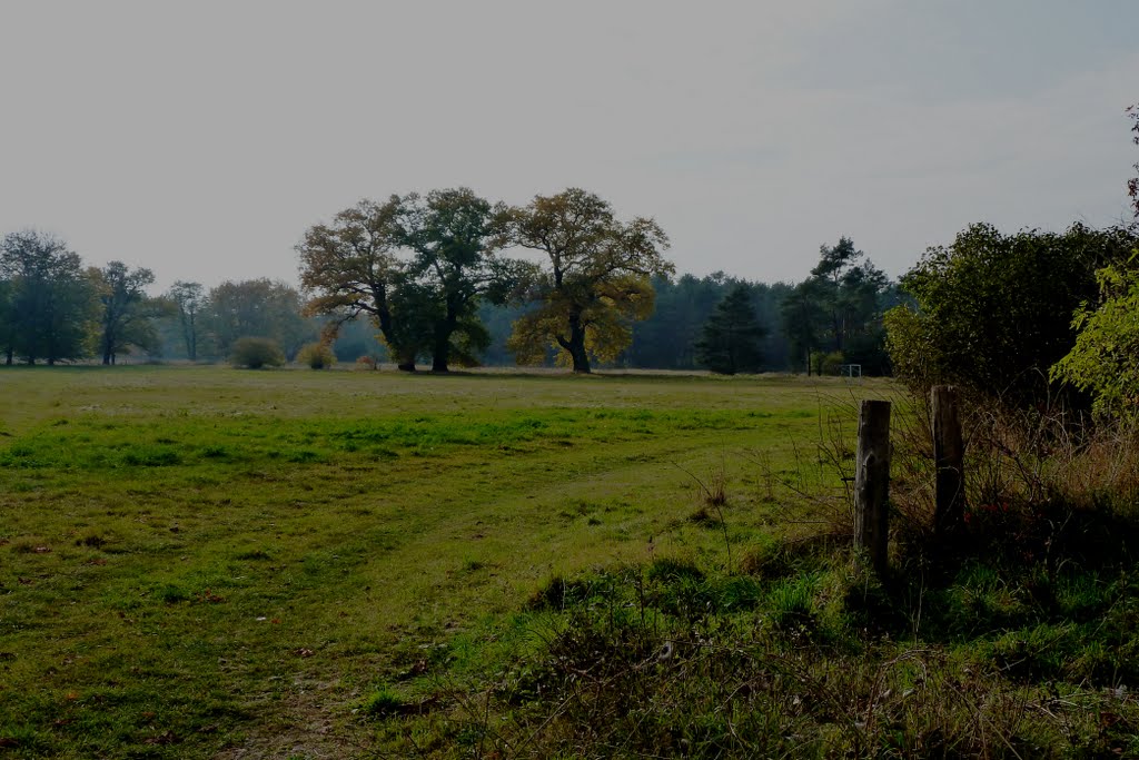 Herbst in Brandenburg by klaus183