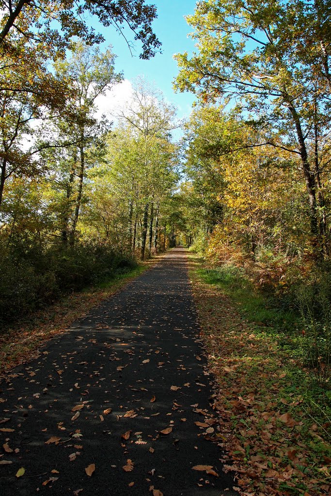 A beautiful autumn day on the Voie Verte - Oct 2011 by Mike Stuckey