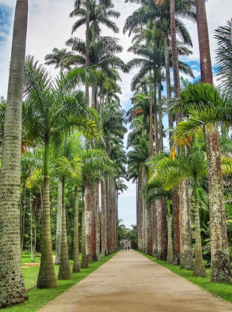 Jardim Botanico by pedromarga