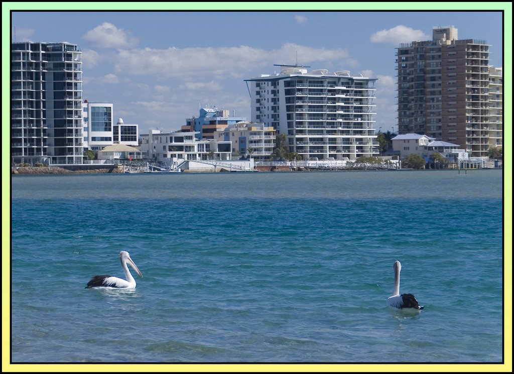 Local Residents by Geoffrey Garrett