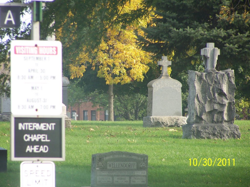 St. Boniface Catholic Cemetery 7 by Patricia  McClendon