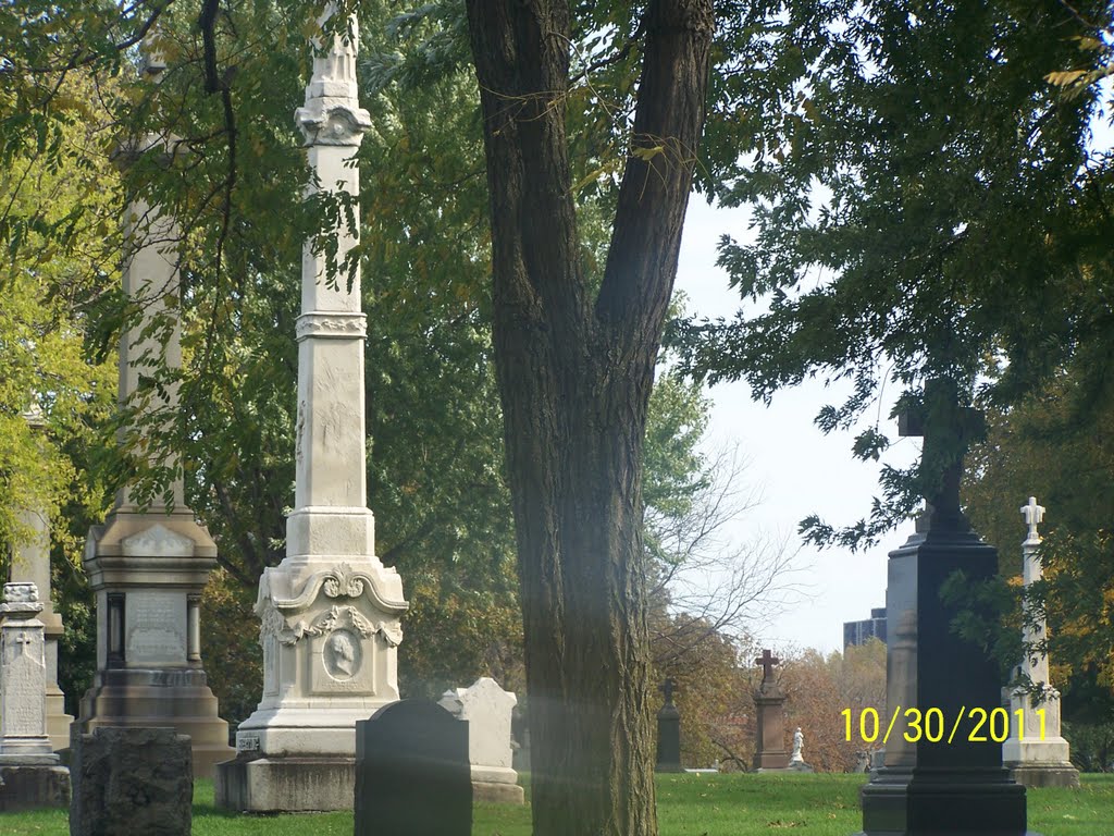 St. Boniface Catholic Cemetery 12 by Patricia  McClendon